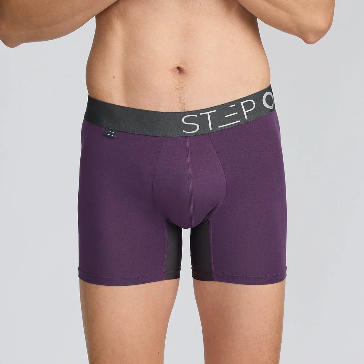 Trunk - Juicy Plums - Image 3